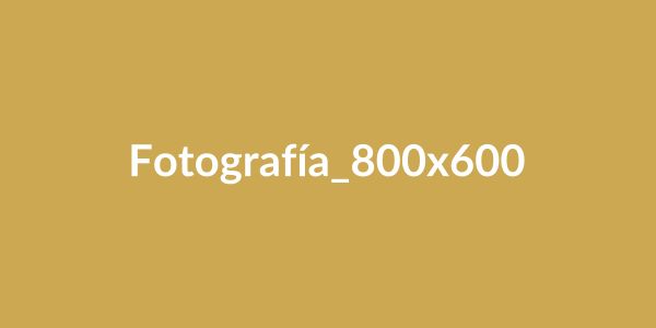Fotografía del artículo